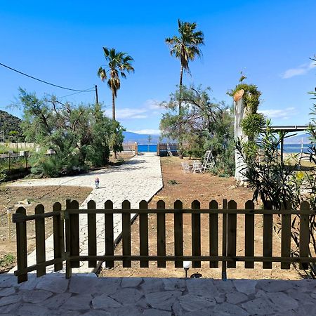 Palm Tree House By The Beach Skhoínos 外观 照片