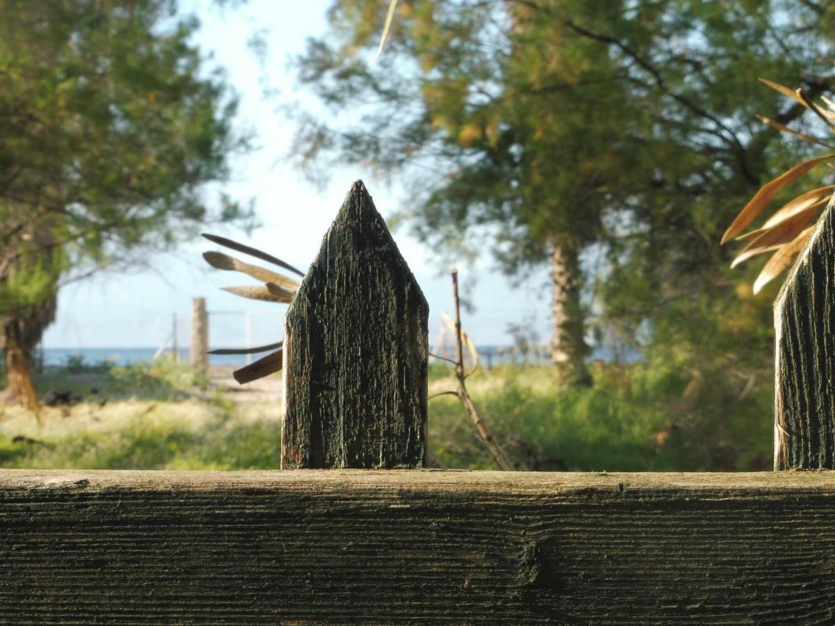 Palm Tree House By The Beach Skhoínos 外观 照片